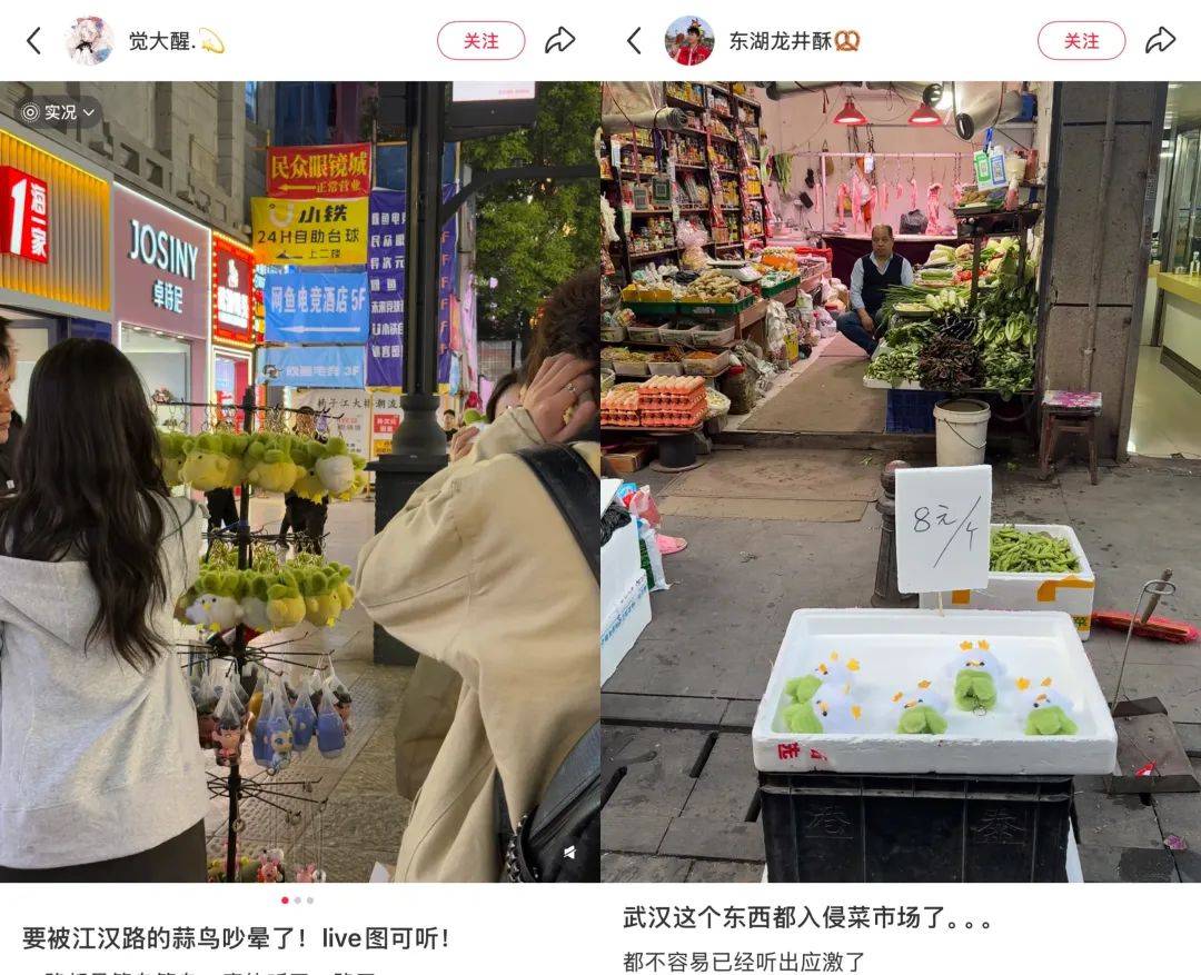 武汉话“蒜鸟”<strong></p>
<p>lpfs币</strong>，最近劝（添）架（乱）唯一指定用语