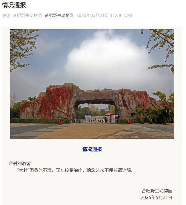 网红猴“大壮”突然离世<strong></p>
<p>清币价格</strong>!曾因方脸“丑”出圈