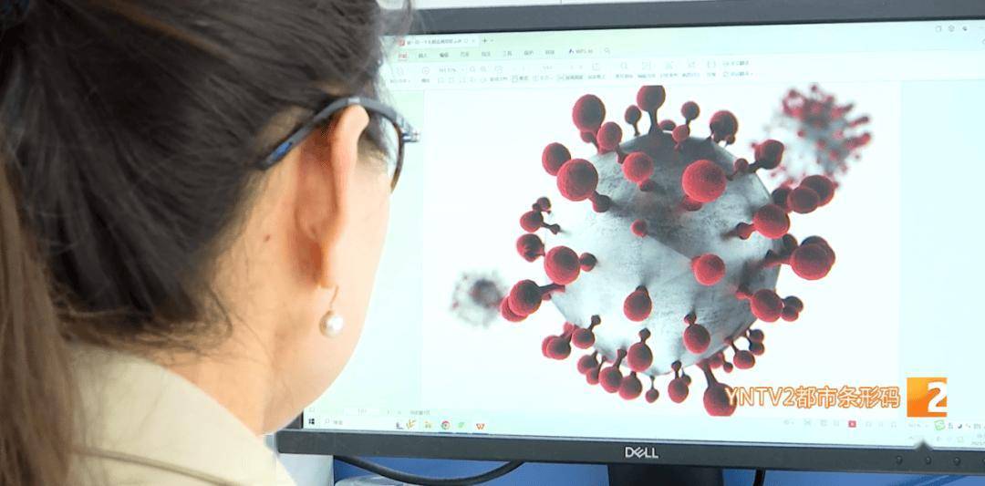 新冠又抬头<strong></p>
<p>清币价格</strong>?云南省情况如何?云南疾控发布提醒