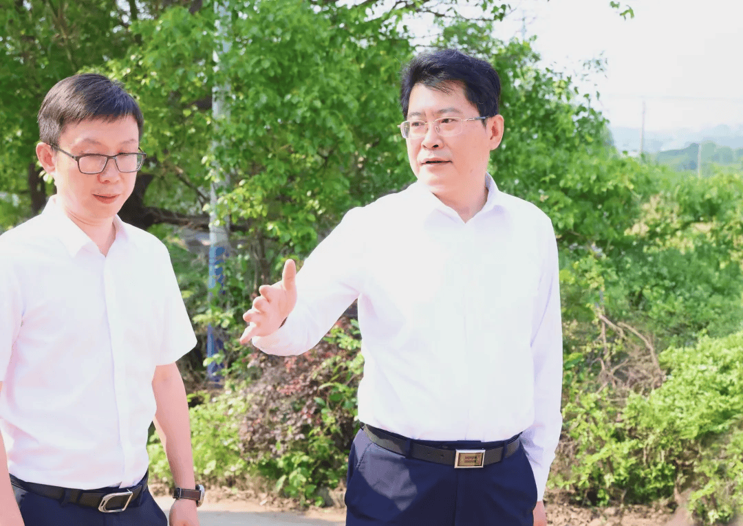 央视曝光后<strong></p>
<p>美货币升值</strong>,萍乡市委书记实地督导垃圾专项整治