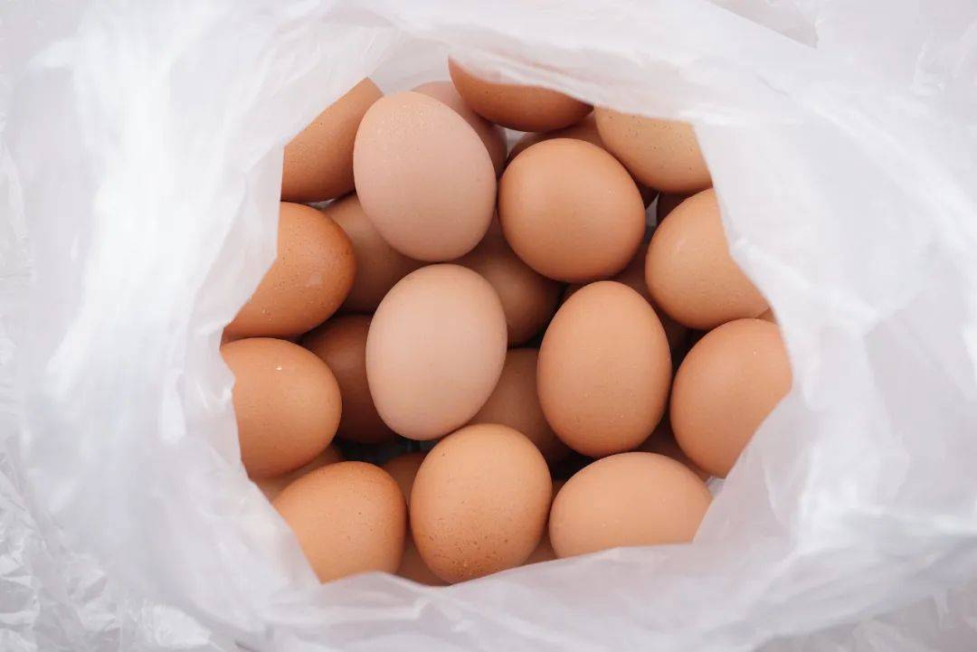 不叠被子、内裤机洗<strong></p>
<p>数字币价格表</strong>,这些看似偷懒的行为,其实没毛病!