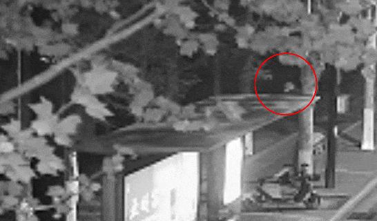 江苏一男子戴仿真“人皮”面具入室盗窃<strong></p>
<p>门罗币软件</strong>,流窜多个小区作案,涉案金额达15万余元