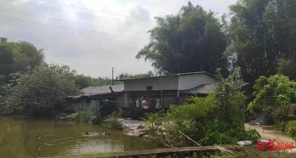 男子杀害母亲和女友后带嫂嫂潜逃32年落网<strong></p>
<p>门罗币软件</strong>,两人育有一儿一女,侦破细节披露