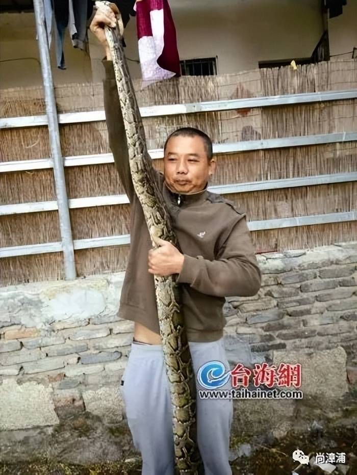 女游客疑被蛇咬伤身亡后<strong></p>
<p>y币</strong>,博主“啊宝”讲毒蛇1天涨粉190万