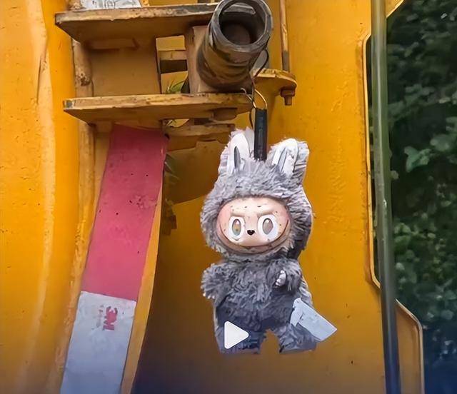 大爷捡到labubu随手挂吸粪车<strong></p>
<p>币王</strong>，女子蹲点数天被人99元抢先买走