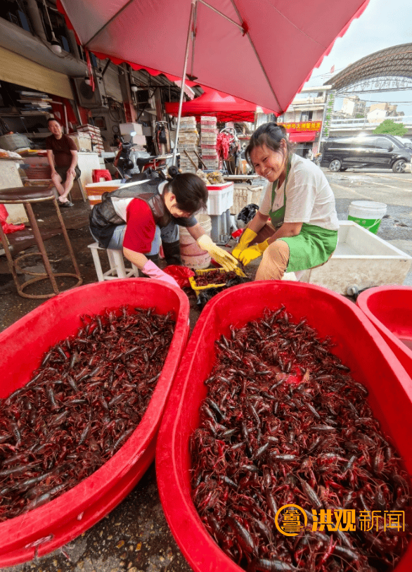 价格腰斩<strong></p>
<p>币王</strong>!13元/斤!南昌正大量上市