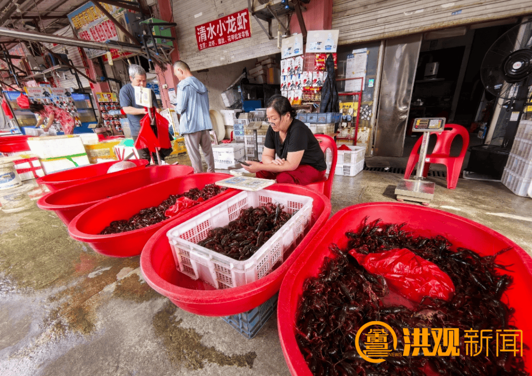 价格腰斩<strong></p>
<p>币王</strong>!13元/斤!南昌正大量上市