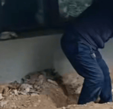 河南长垣女子购买一楼房子在院子里挖出疑似人体骨头<strong></p>
<p>保障局</strong>，警方介入！物业：多方协调中