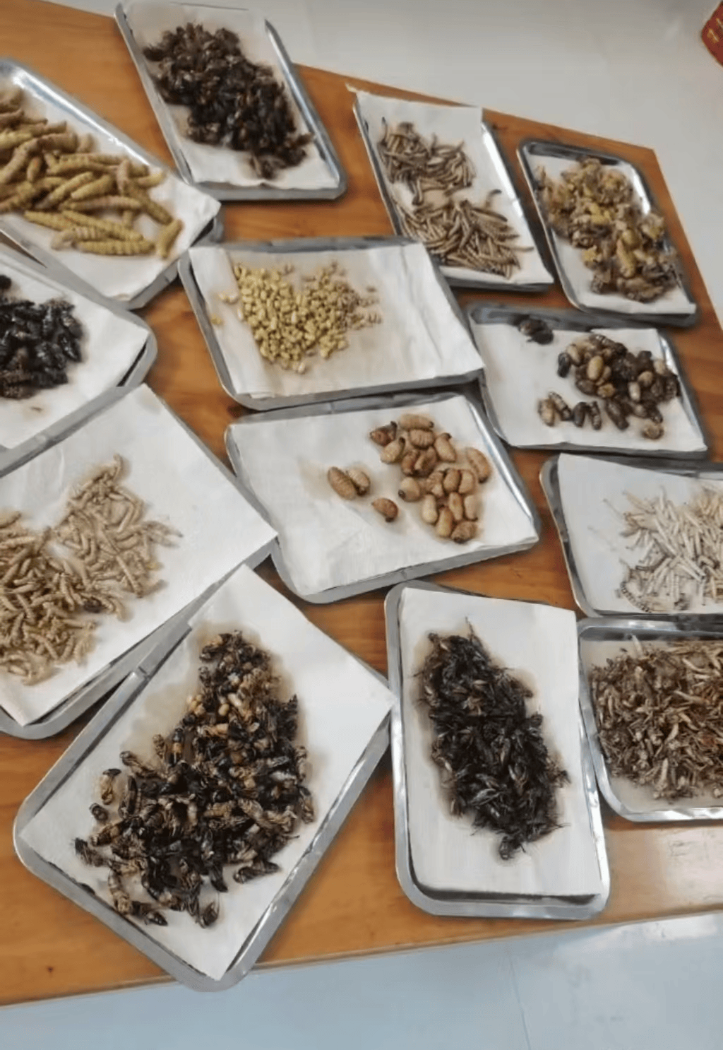 山东临沂通报“蛤蟆汤”饭店被拟罚45万:撤销处罚<strong></p>
<p>比特儿交易网</strong>,5人停职