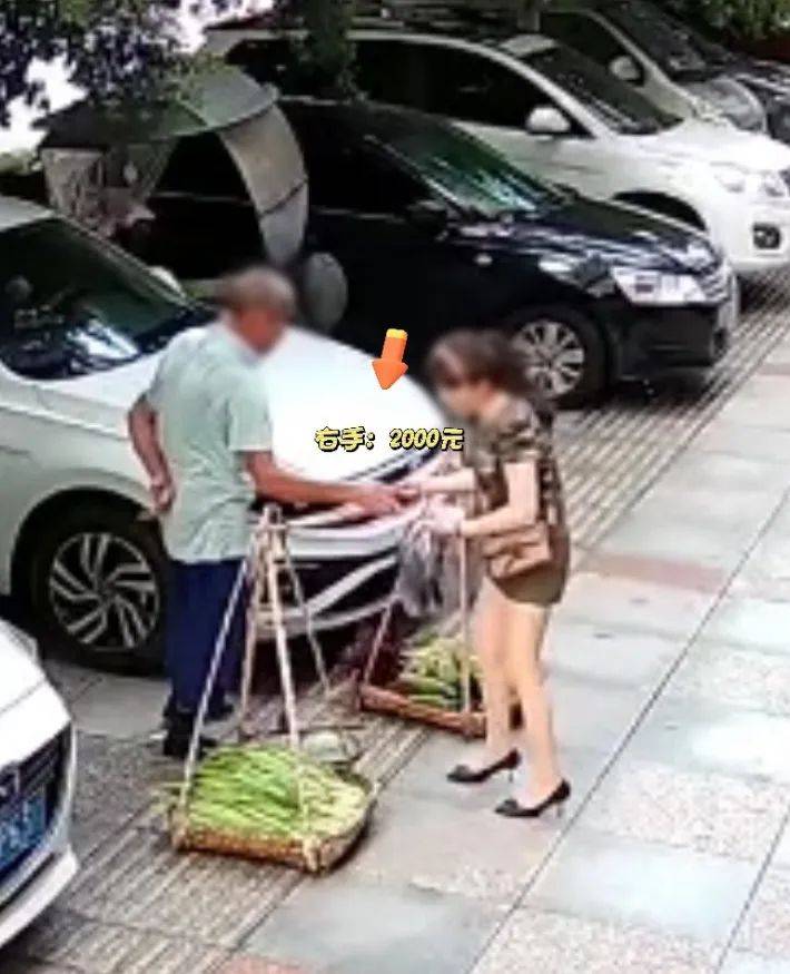 女子照顾卖菜大爷生意遭背刺:5元的菜误付2000元现金<strong></p>
<p>比特儿服务器</strong>,大爷光速塞进后腰,谎称没看见,民警上门找回