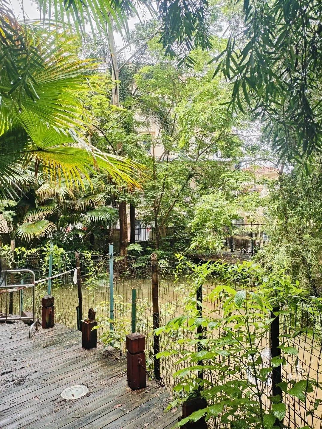 黄杨钿甜父母回应网络争议:“天价耳环”实际100多元<strong></p>
<p>比特儿服务器</strong>,别墅不是自家的,只是路过拍照