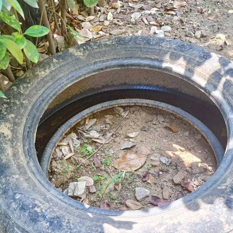 青岛疾控最新提醒:全民行动<strong></p>
<p>比特派</strong>!翻盆倒罐、清除积水!