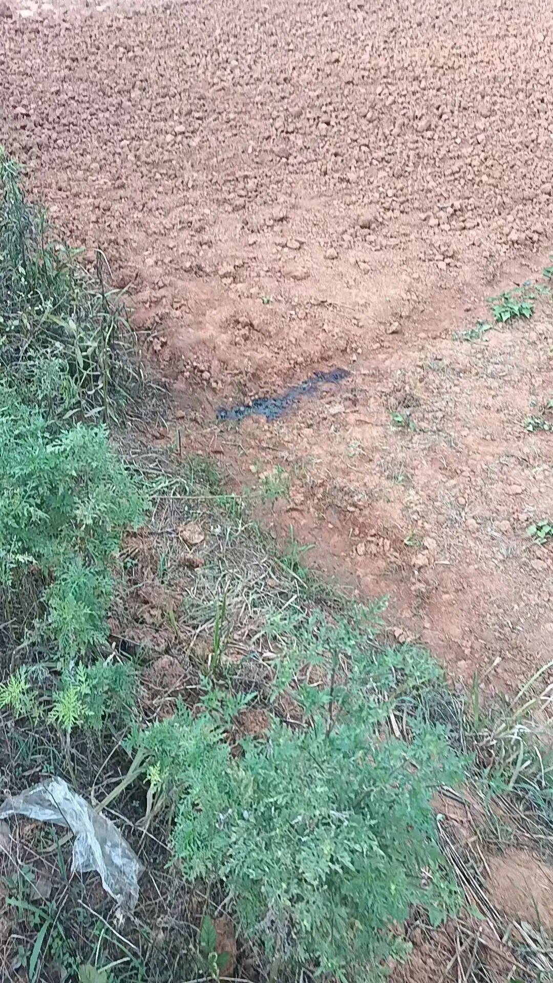 工人被误当猎物枪击身亡<strong></p>
<p>比特派客服</strong>,警方通报:屈某某、罗某某被刑拘