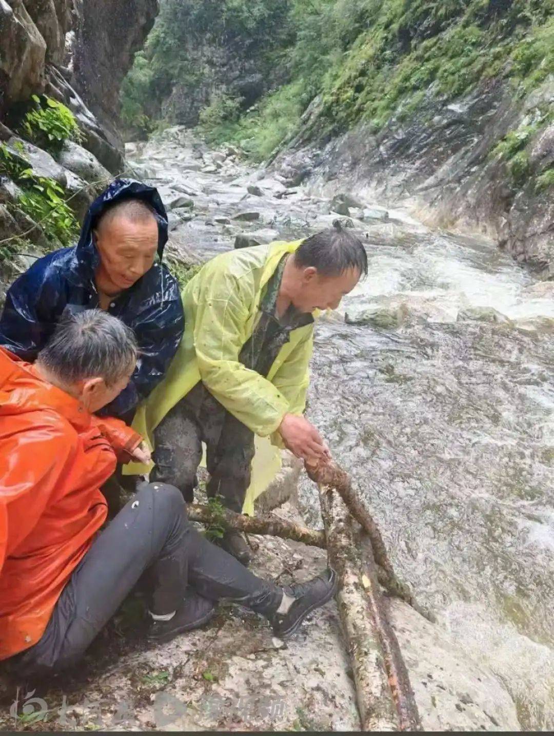 秦岭保护区失联10余天驴友被找到<strong></p>
<p>比特派官网</strong>,失联前后照片曝光:圆脸消失,救援人员称瘦了几十斤