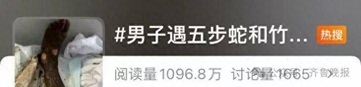 安徽宣城一男子走路玩手机<strong></p>
<p>比特派App</strong>,一脚踩中打架的竹叶青和五步蛇,被俩毒蛇咬3口!医院:暂无生命危险,正在治疗