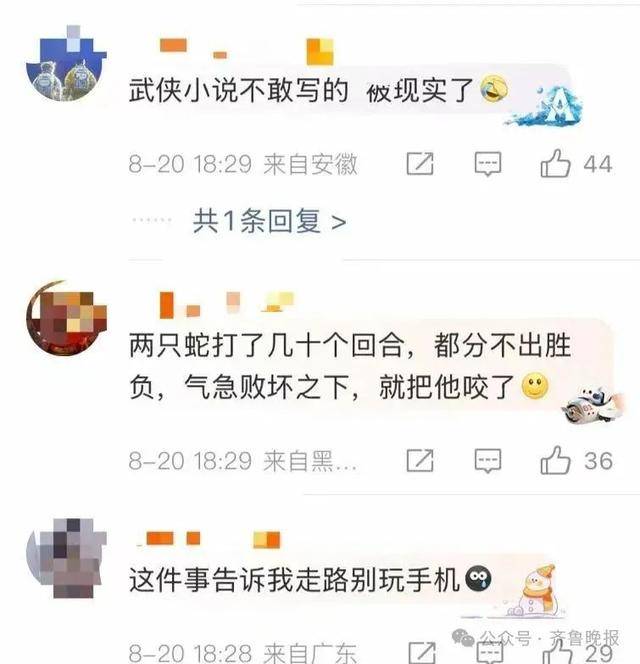 安徽宣城一男子走路玩手机<strong></p>
<p>比特派App</strong>,一脚踩中打架的竹叶青和五步蛇,被俩毒蛇咬3口!医院:暂无生命危险,正在治疗