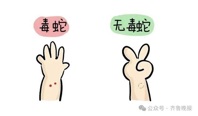 安徽宣城一男子走路玩手机<strong></p>
<p>比特派App</strong>,一脚踩中打架的竹叶青和五步蛇,被俩毒蛇咬3口!医院:暂无生命危险,正在治疗