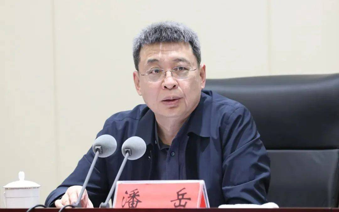 正部级潘岳<strong></p>
<p>比特派身份</strong>，有新职