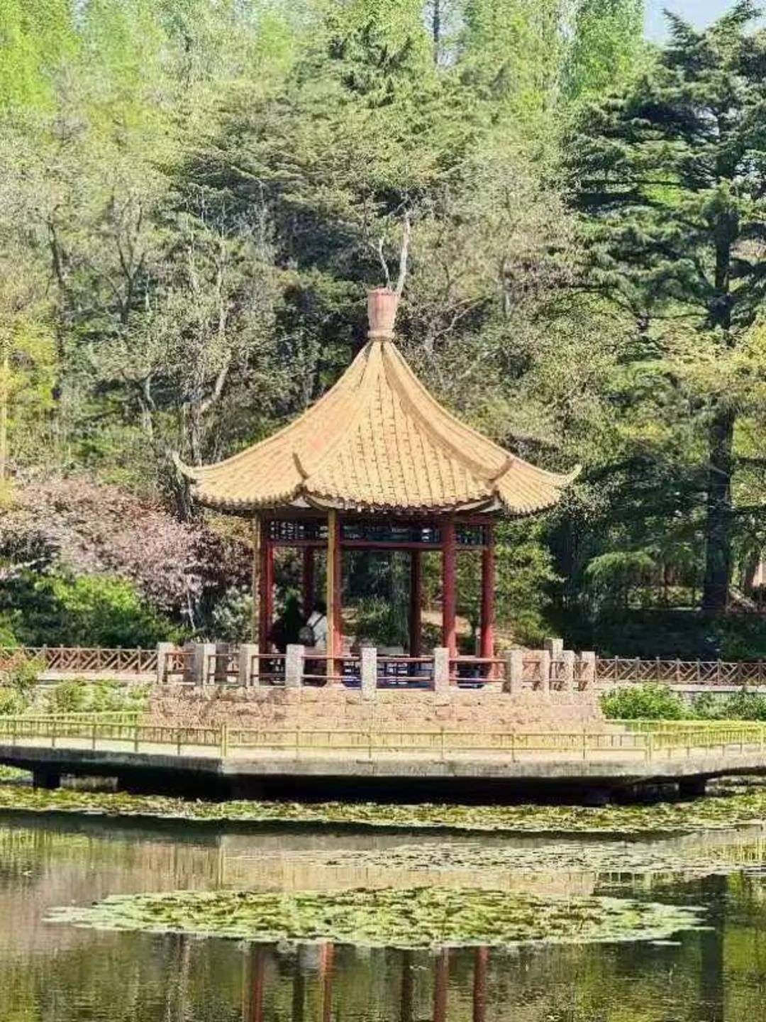 青岛中山公园一凉亭突然倒塌：一年前刚完成修缮<strong></p>
<p>bitpie比特派官网下载</strong>，园方称无伤亡原因待查