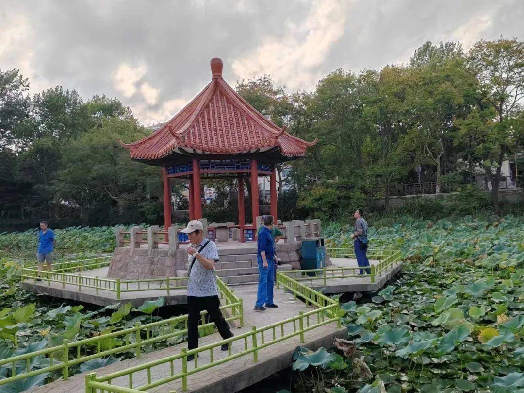 青岛中山公园一凉亭突然倒塌：一年前刚完成修缮<strong></p>
<p>bitpie比特派官网下载</strong>，园方称无伤亡原因待查