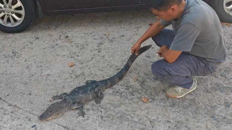 安徽一钓鱼佬钓到一条1米长20斤的“大鱼”<strong></p>
<p>bitpie比特派官网下载</strong>,赶紧送到派出所,民警:放生!