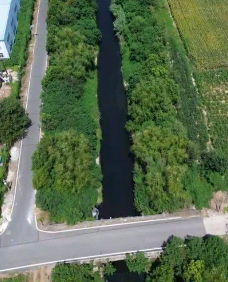 去年整改过的“黑水河”<strong></p>
<p>币安</strong>,今年怎么又黑了? | 新京报快评