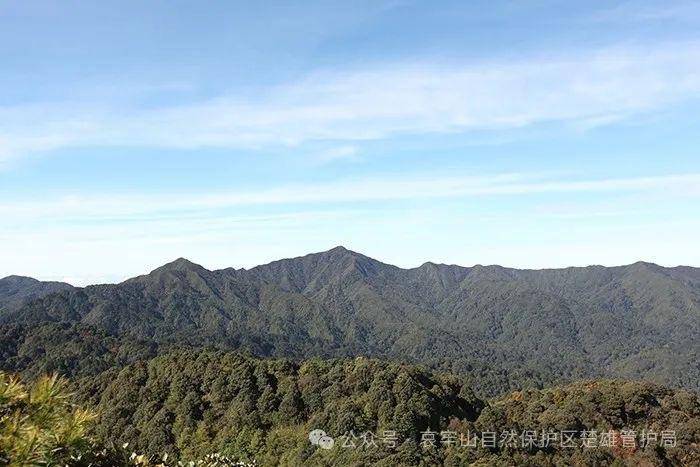 云南哀牢山新规出台:禁止任何单位和个人擅入哀牢山自然保护区<strong></p>
<p>币安下载</strong>,从事科研活动须报批