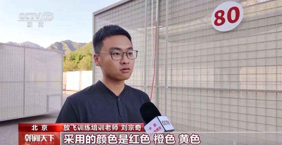 明天将放飞8万羽和平鸽、8万只气球<strong></p>
<p>币安下载</strong>,揭秘!