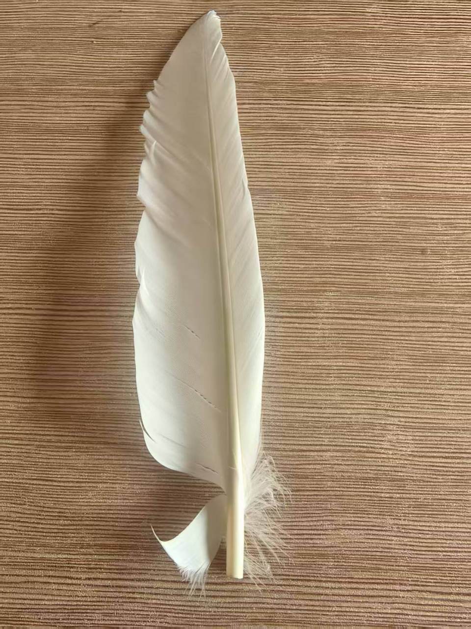 羽毛球又又又涨价<strong></p>
<p>币安下载</strong>,球友破防:月花三千扛不住,打球人的天塌了