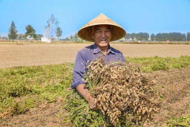 “花生上树”闹剧：AI翻车背后<strong></p>
<p>币安app下载</strong>，我们都在弄丢常识？
