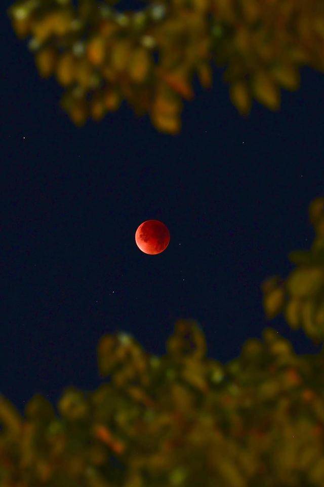 刷屏朋友圈<strong></p>
<p>币安binance官网</strong>!“红月亮”高清大图来了