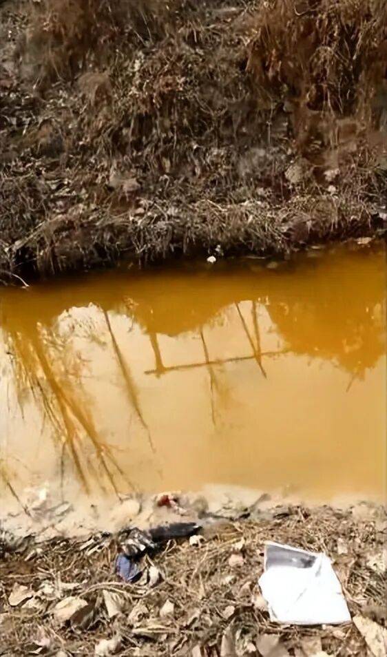 山东淄博村民投诉企业污染被打获赔三百万后被判刑<strong></p>
<p>币安创始人</strong>,重审改判无罪检方抗诉,二审将开庭