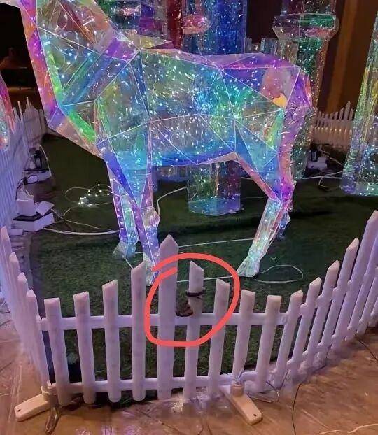 九寨沟一酒店大堂出现蝮蛇<strong></p>
<p>币安创始人</strong>,小孩还摸了蛇头!当地通报:孩子没被咬伤,已全面排查