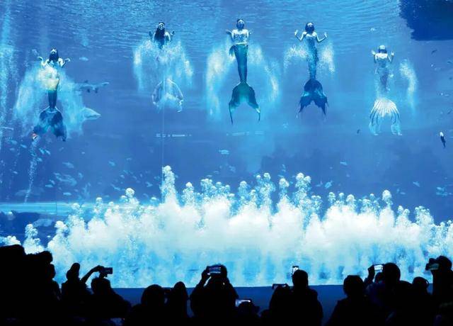 海洋公园<strong></p>
<p>币安币</strong>，养不起虎鲸了