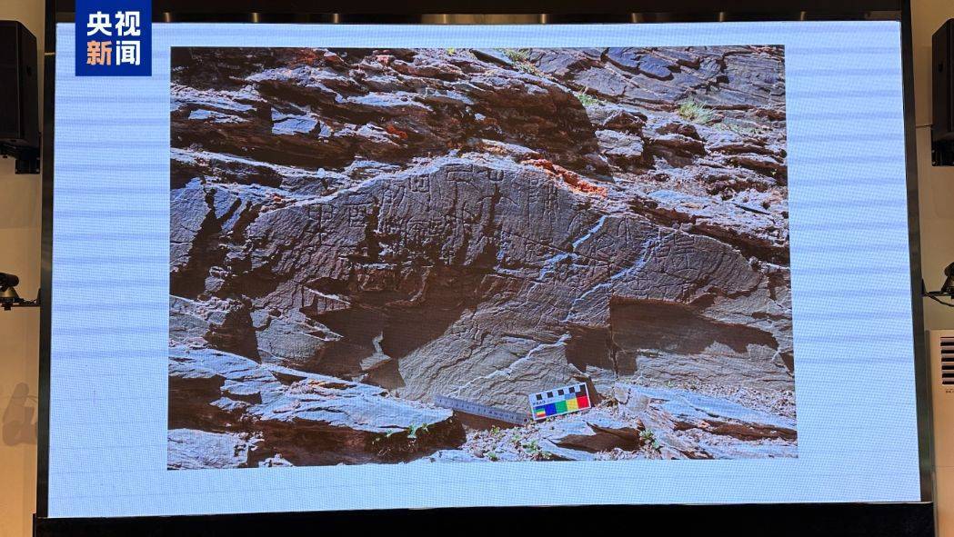 重要发现!扎陵湖秦代刻石得到认定!每经独家采访当地牧民:40年前就曾看见<strong></p>
<p>币安币</strong>,在他家牧场内