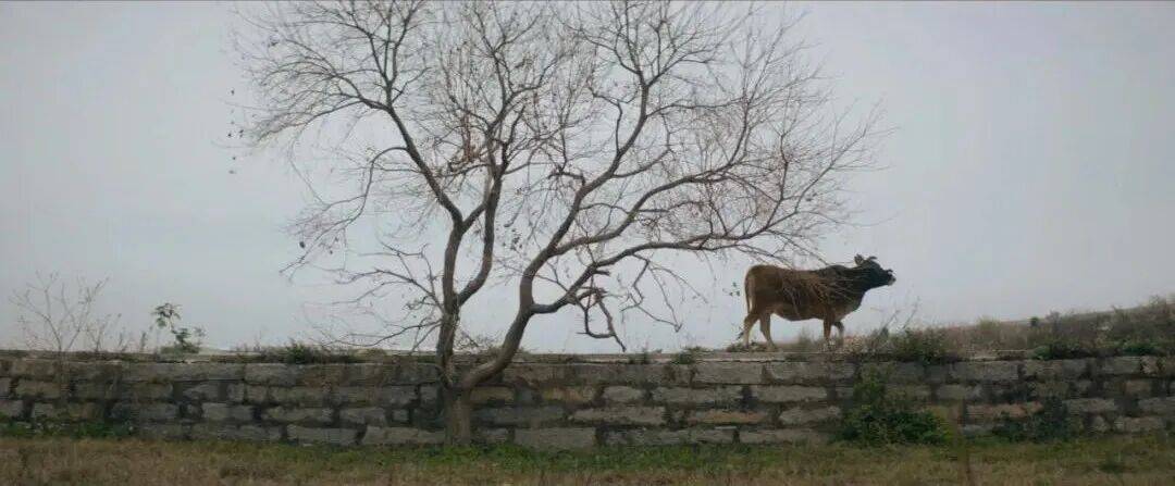 城市打工人<strong></p>
<p>币安app</strong>，花十几万回村给父母补缴社保