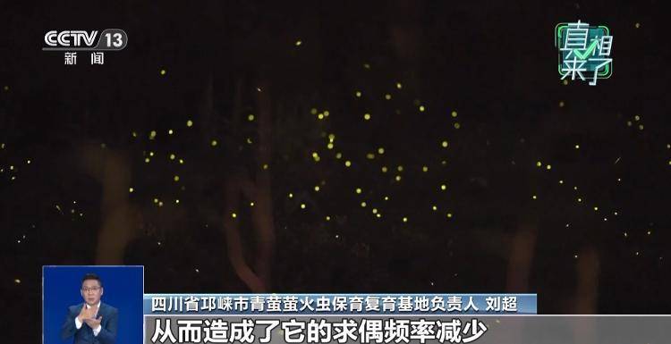 网传萤火虫濒临灭绝<strong></p>
<p>币安app</strong>,是真的吗?