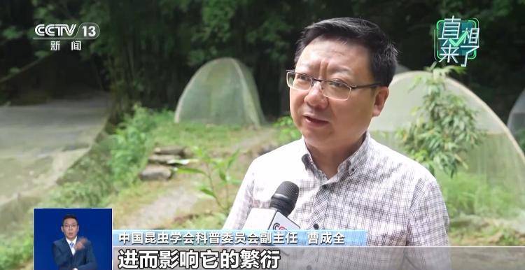 网传萤火虫濒临灭绝<strong></p>
<p>币安app</strong>,是真的吗?