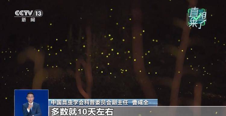 网传萤火虫濒临灭绝<strong></p>
<p>币安app</strong>,是真的吗?