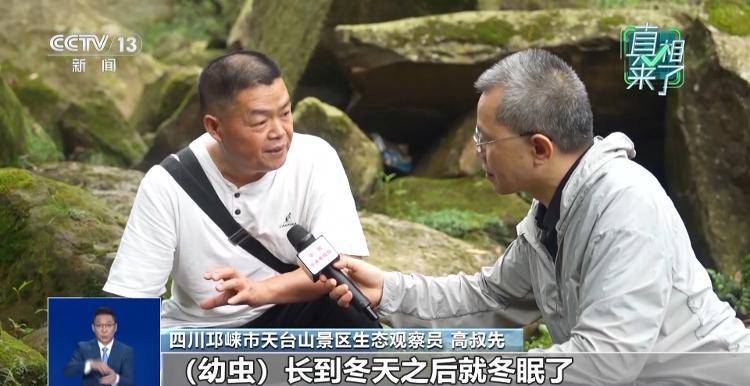 网传萤火虫濒临灭绝<strong></p>
<p>币安app</strong>,是真的吗?