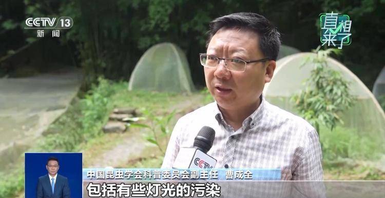 网传萤火虫濒临灭绝<strong></p>
<p>币安app</strong>,是真的吗?