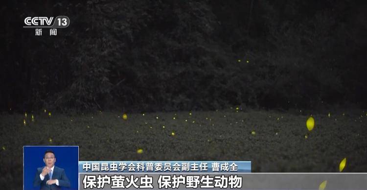 网传萤火虫濒临灭绝<strong></p>
<p>币安app</strong>,是真的吗?