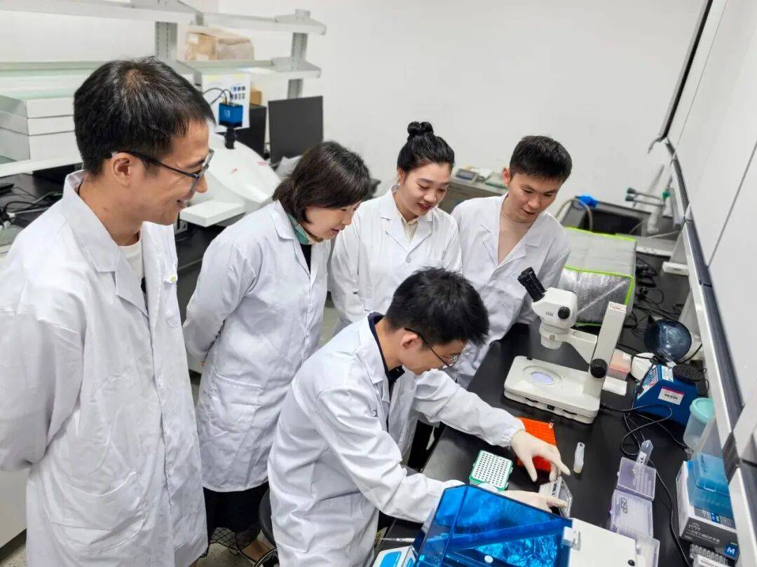 重磅<strong></p>
<p>币安官网网址</strong>!山东农大科研团队破解一科学界百年未解之谜