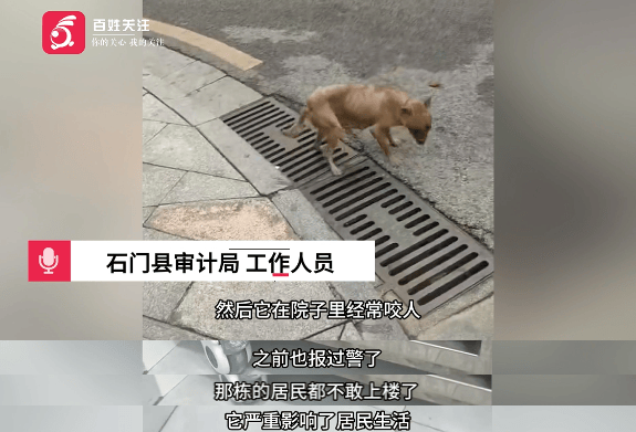 保安称“经常咬人”打死流浪犬<strong></p>
<p>币安官网网址</strong>,居民上门讨说法:这个门卫穷凶极恶