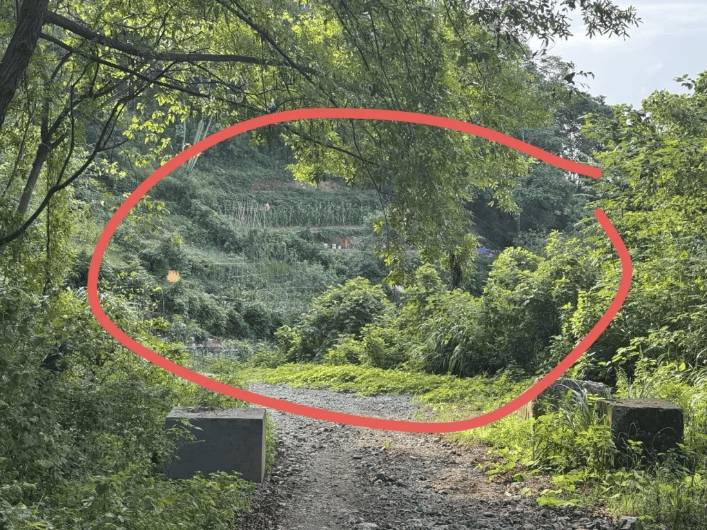 杭州女子误踩“化骨水”身亡<strong></p>
<p>币安交易</strong>，当地：已锁定化学品所有者，发现三桶，一桶完整，两桶残余