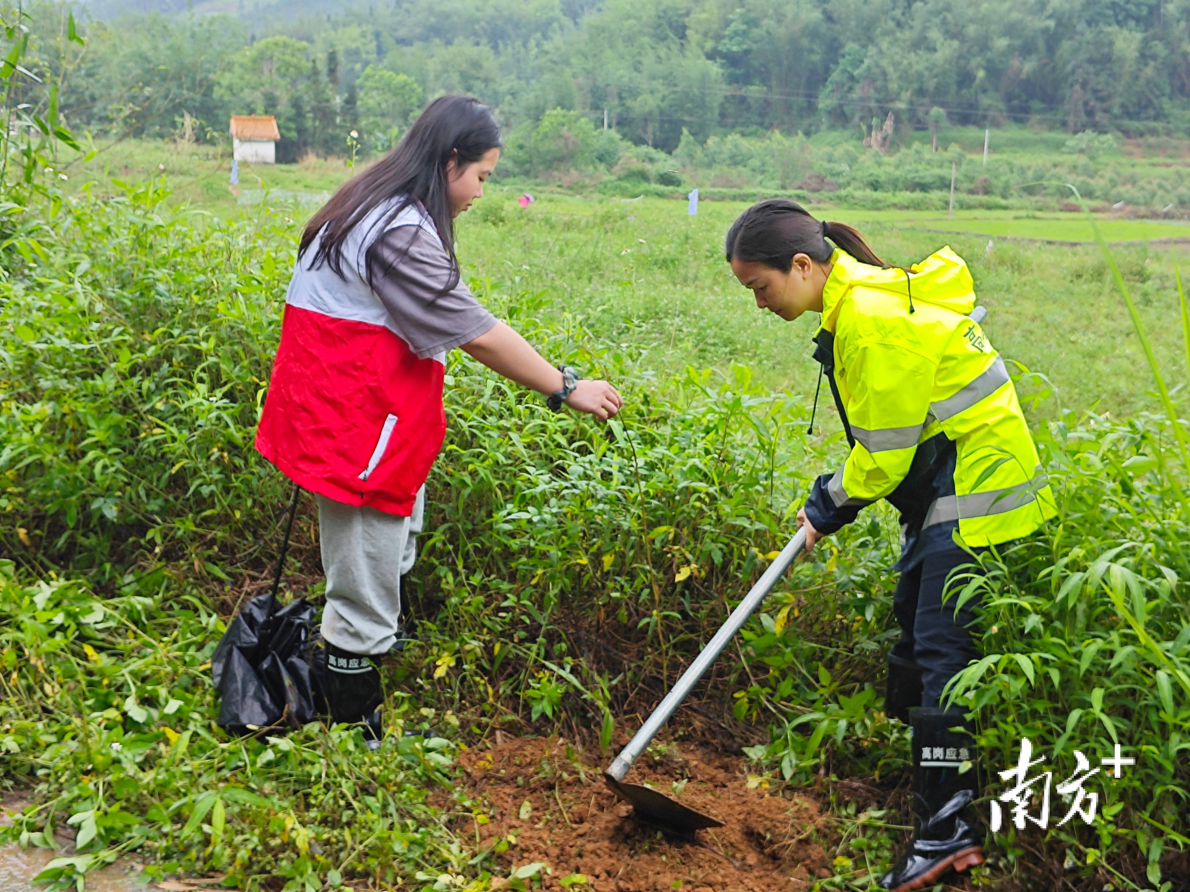 “外来媳妇”谭焕贞五年深耕<strong></p>
<p>安币</strong>,佛冈高岗宝山村换新貌