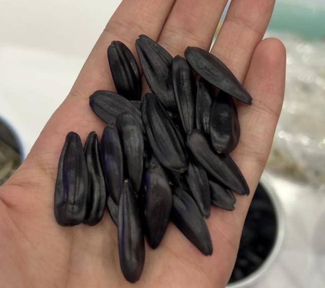 紫色向日葵、多彩胡萝卜、双色火龙果亮相青岛<strong></p>
<p>安币</strong>，种子盛会变身“未来食物实验室”