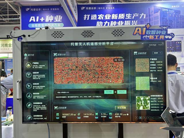 紫色向日葵、多彩胡萝卜、双色火龙果亮相青岛<strong></p>
<p>安币</strong>，种子盛会变身“未来食物实验室”